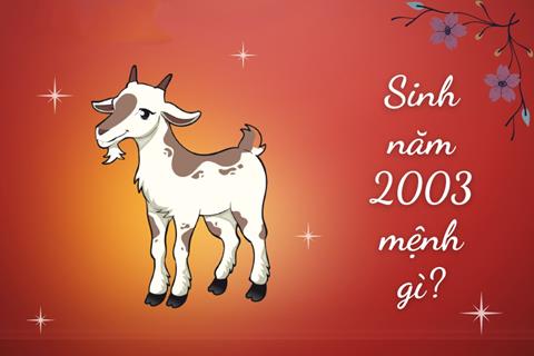 Sinh năm 2003 mệnh gì? Tuổi Quý Mùi Hợp tuổi nào & Màu gì?