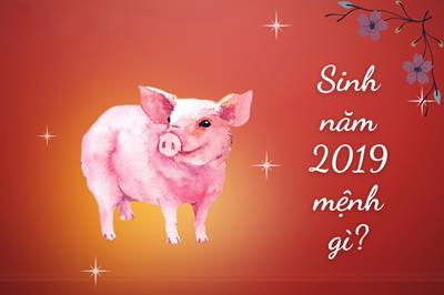 Sinh năm 2019 mệnh gì? Tuổi Kỷ Hợi Hợp tuổi nào & Màu gì?