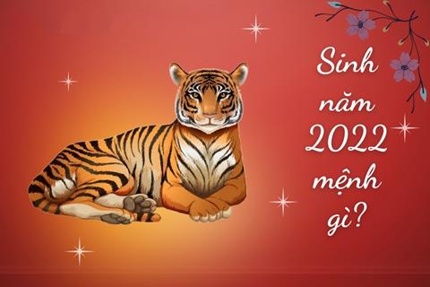 Năm 2022 là năm con gì? Tuổi Nhâm Dần hợp Tuổi nào & Màu gì?