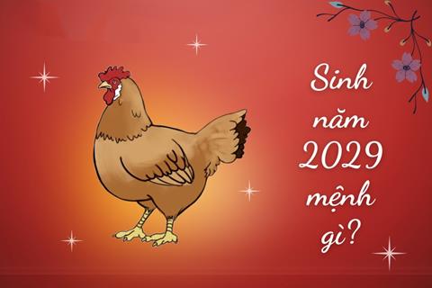 Sinh năm 2029 mệnh gì? Tuổi Kỷ Dậu Hợp tuổi nào & Màu gì?