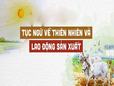 Những câu tục ngữ hay về thiên nhiên và lao động sản xuất