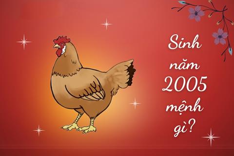 Sinh năm 2005 mệnh gì? Tuổi Ất Dậu Hợp tuổi nào & Màu gì?