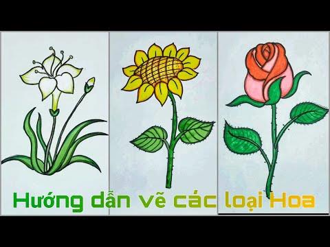 Cách vẽ CÁC LOẠI BÔNG HOA đơn giản mà ĐẸP (Mới 2024)