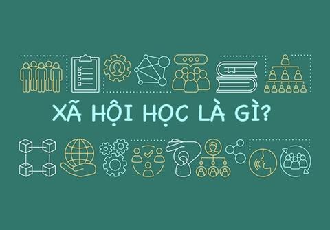 Xã hội học là gì? Cơ hội việc làm của ngành xã hội học trong năm 2024