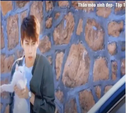 Xem Phim Thần Mèo Xinh Đẹp 2025 (Trọn Bộ Tập 1,2,3,4,5 Thuyết Minh)