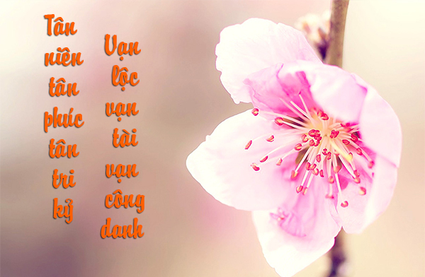 Hình nền chúc mừng năm mới