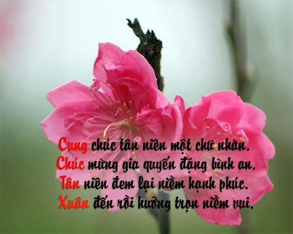 Mẫu thiệp chúc Tết Mậu Tuất đẹp