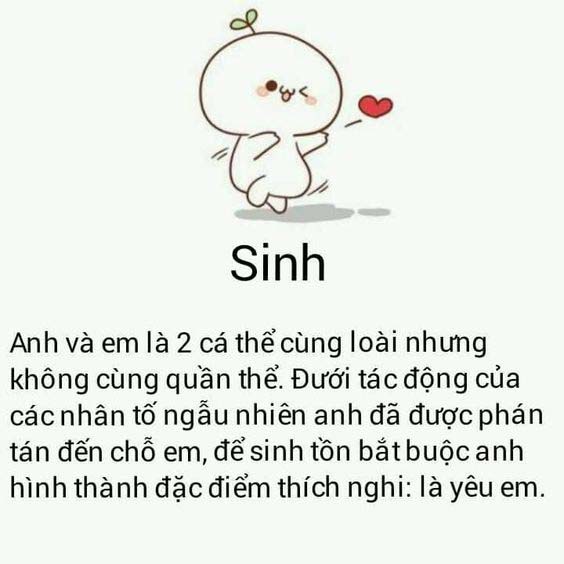 Stt thả thính bằng môn học