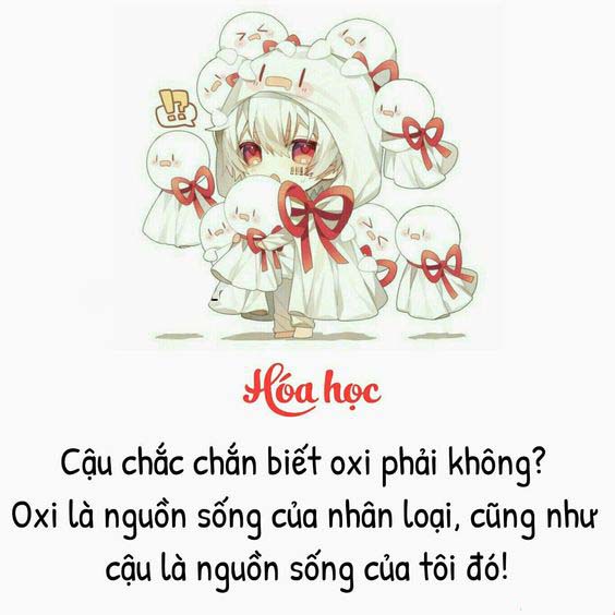 Stt thả thính theo dõi công ty đề