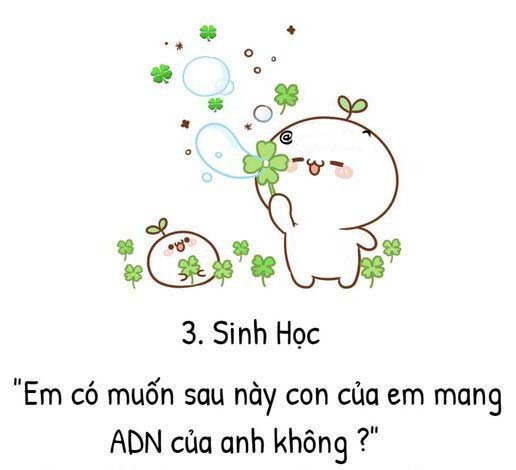 Stt thả thính theo dõi công ty đề