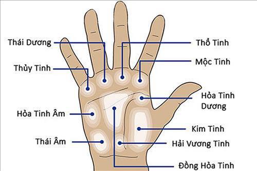 Xem tướng nốt ruồi ở bàn tay, nhân duyên vượng và hôn nhân hạnh phúc