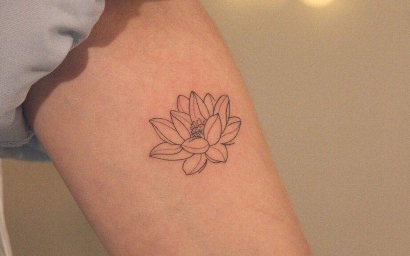 Hình xăm mini hoa sen thanh mảnh với ý nghĩa mang lại nét đẹp dịu dàng, thướt tha của cô gái trẻ