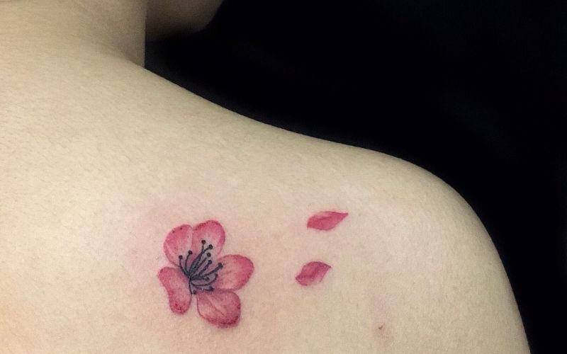 Hình xăm hoa anh đào mini là biểu tượng cho một cuộc sống mong manh, chóng tàn