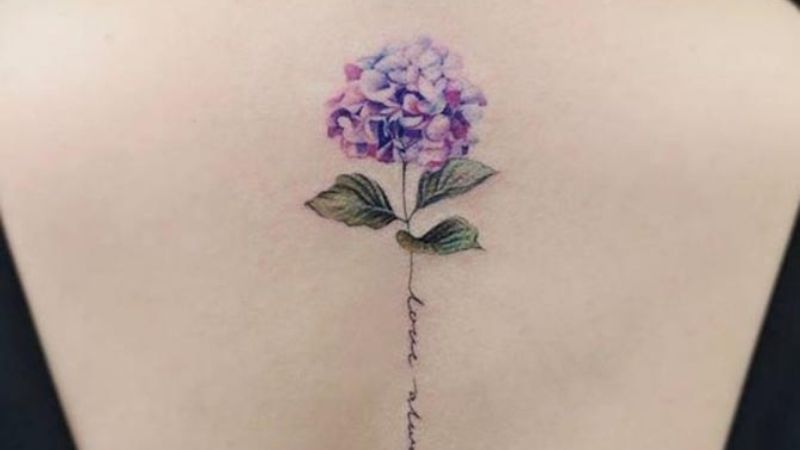 Hình xăm mini hoa cẩm tú cầu ở lưng con gái