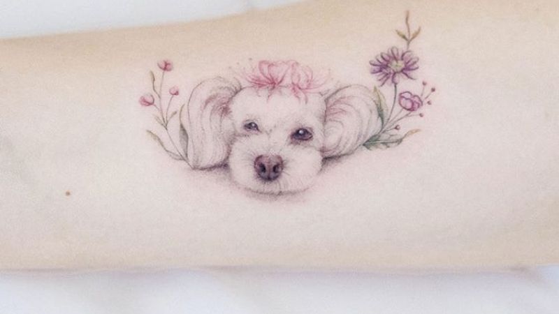 Mẫu hình xăm Poodle mini ở cánh tay cho các ‘con sen’ chính hiệu