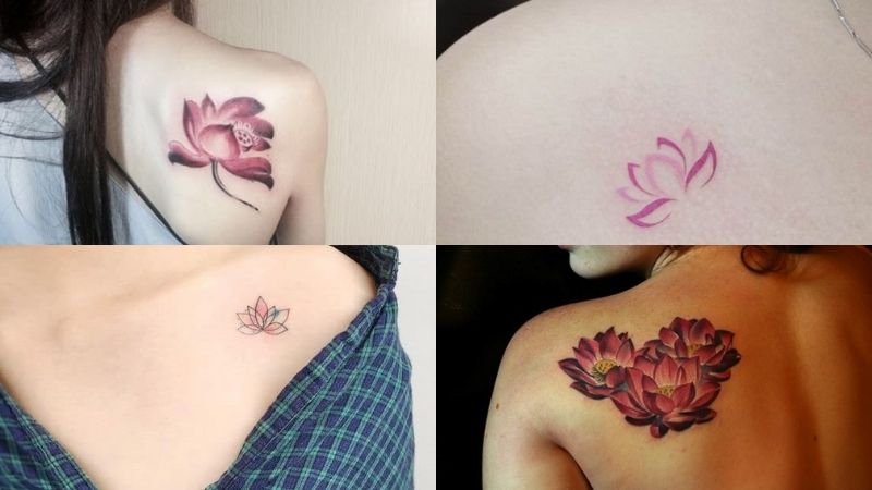 Một số hình xăm hoa sen khác ở vai sau khá quyến rũ và thu hút ánh nhìn tò mò