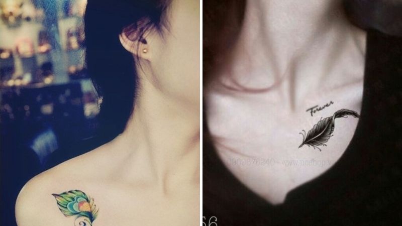 Hình xăm lông vũ xinh xắn ở vai trước cho nữ thu hút ánh nhìn