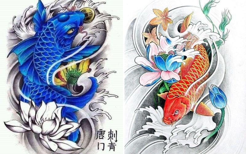 13 Cách vẽ Cá chép hoá rồng đẹp hút hồn của giới nghệ sĩ