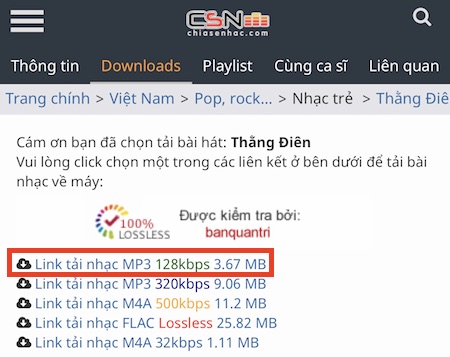Chọn định dạng nhạc Tại bước này bạn có thể chọn định dạng nhạc