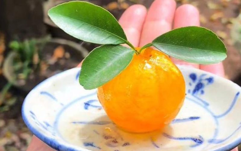 Mứt quất Huế