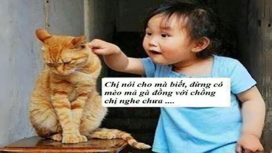 Hình ảnh meme hài hước mới nhất