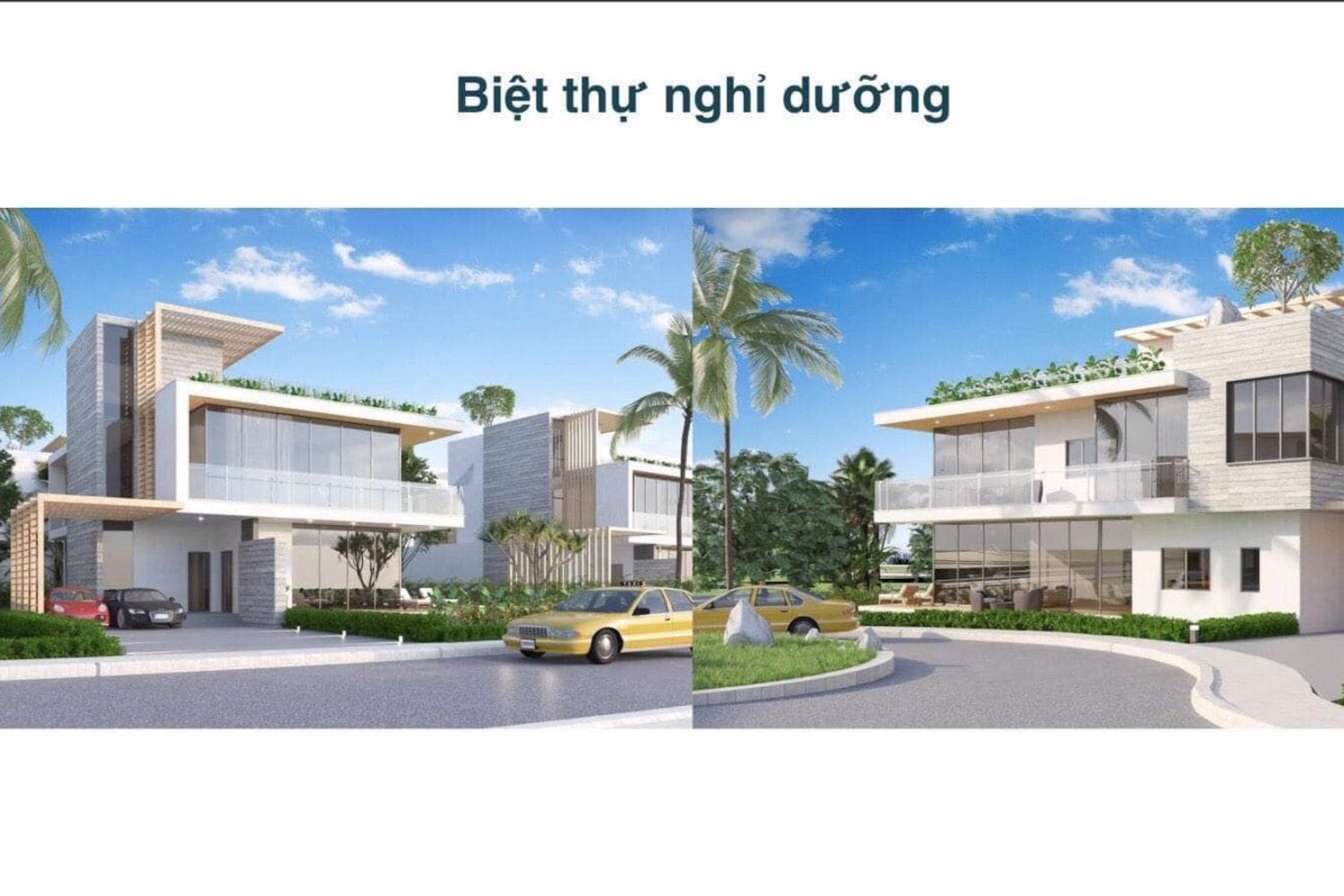 The Maris Vũng Tàu