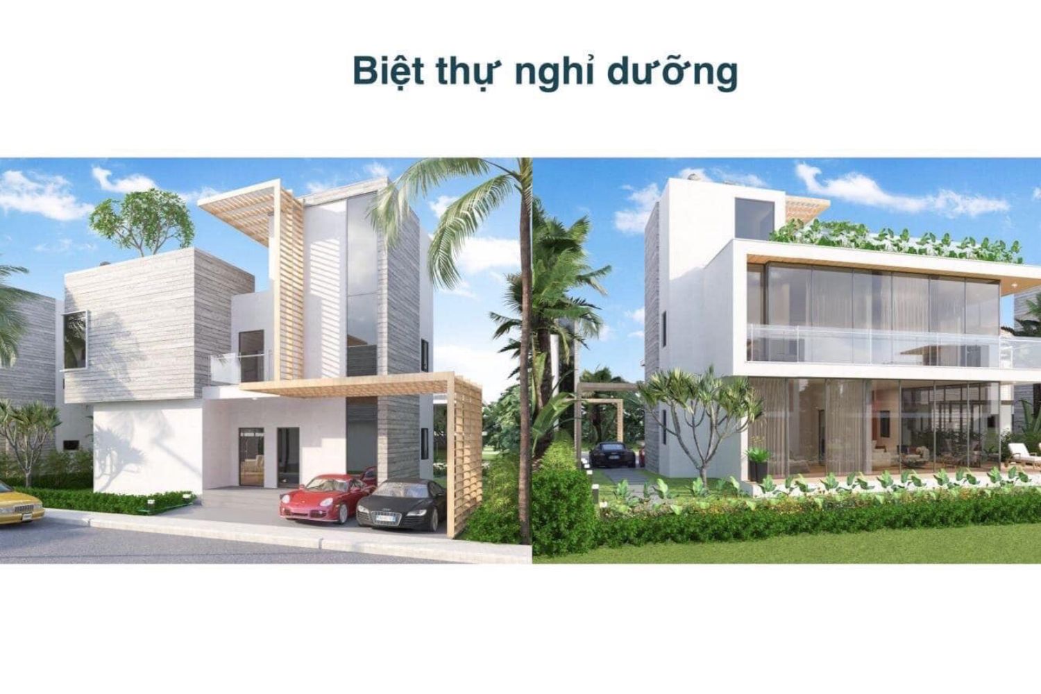 The Maris Vũng Tàu