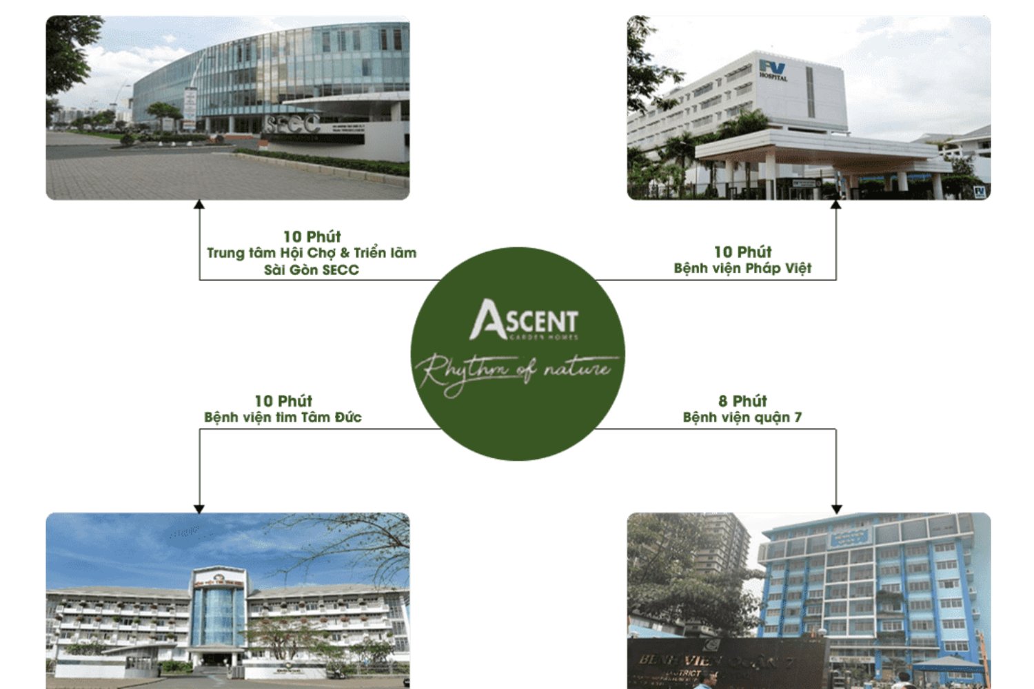 Ascent Garden Homes Ascent Garden Homes