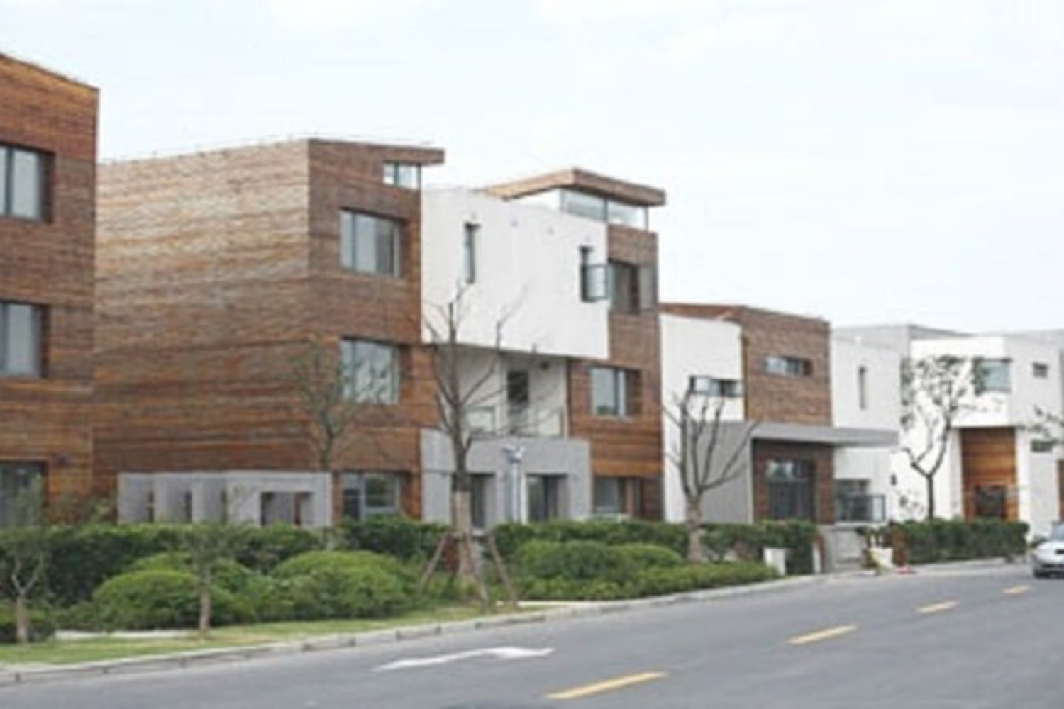 South Dragon City South Dragon City