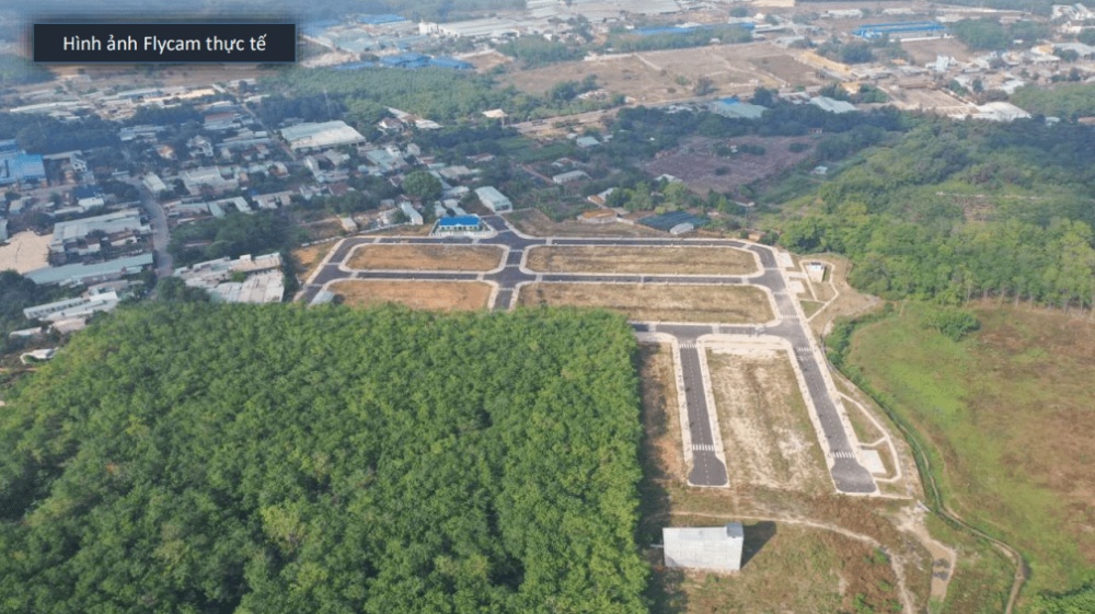 Dương Tiến Phát Diamond City