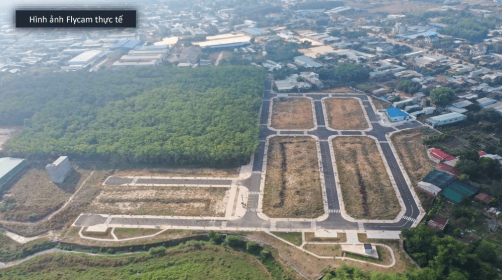 Dương Tiến Phát Diamond City