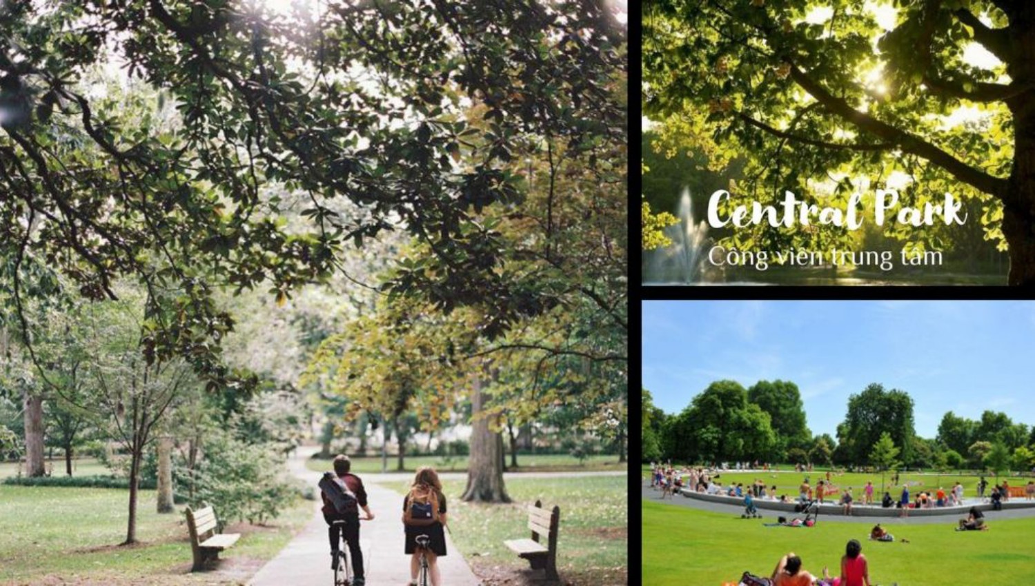 Kosy City Beat Thái Nguyên