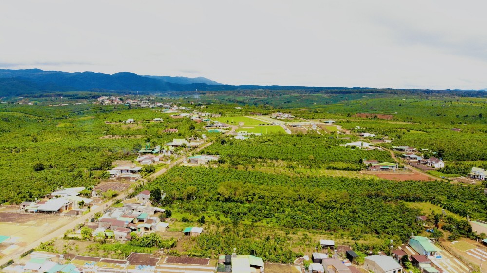 Panamera Bảo Lộc