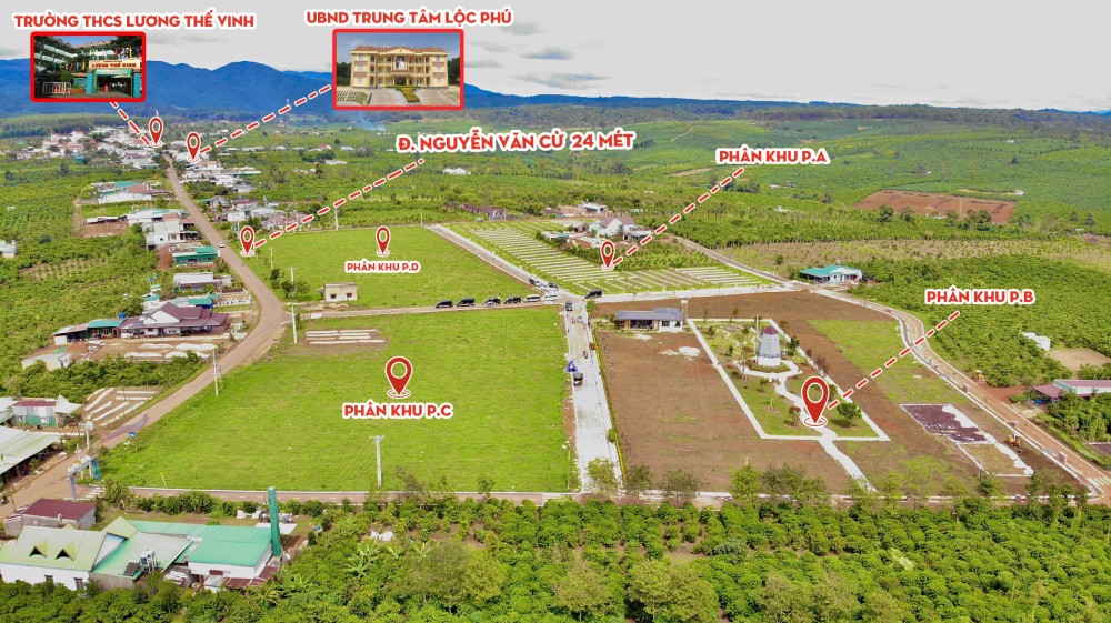 Panamera Bảo Lộc