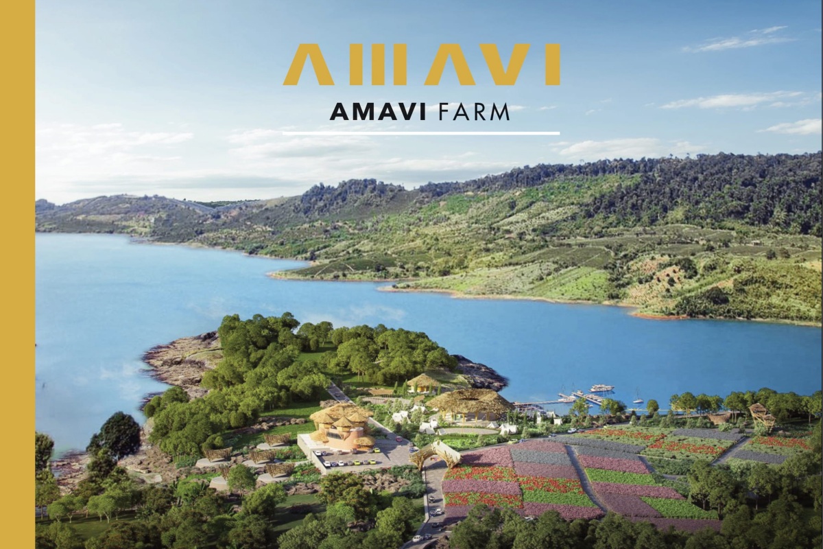 Amavi Farm Bảo Lộc