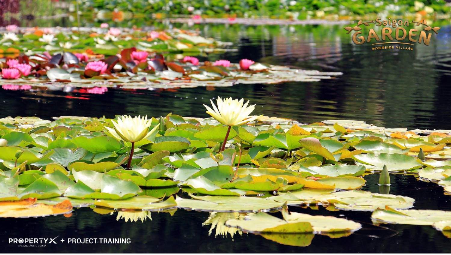 Saigon Garden Riverside Village