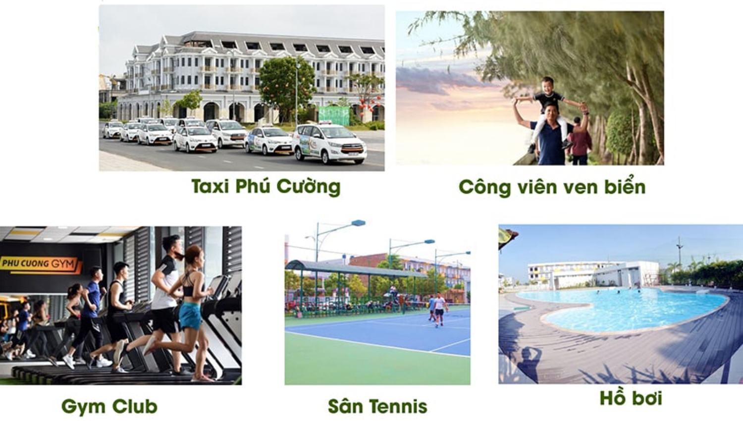 Phú Cường Hoàng Gia Phú Cường Hoàng Gia