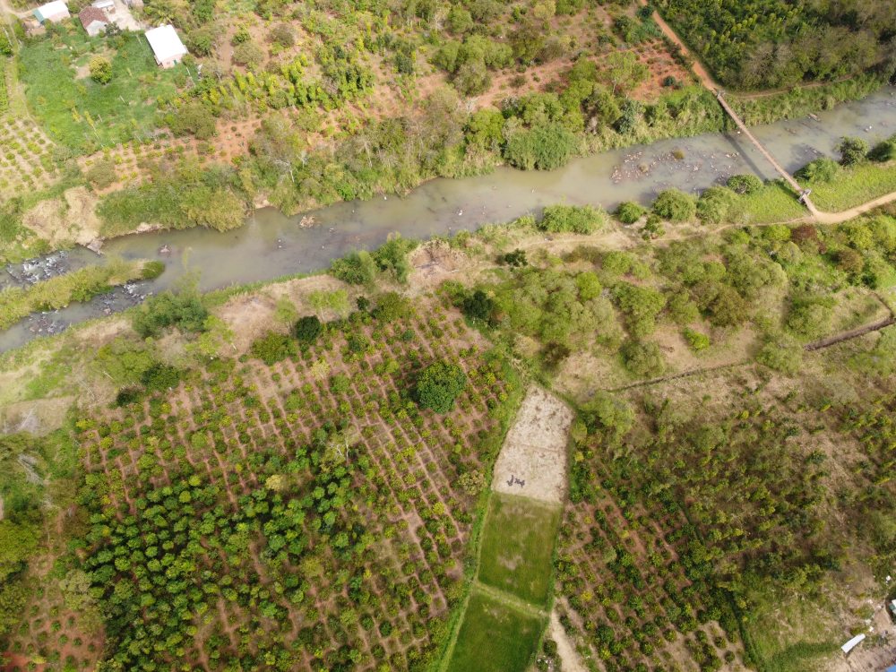 GEM VINH HOA PHÚ QUÝ