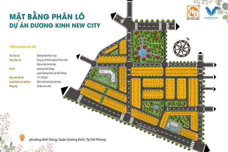 Dương Kinh New City