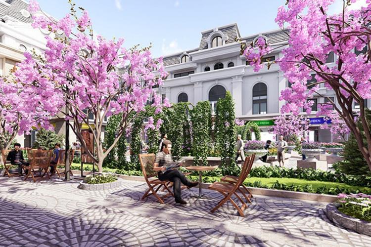 Tiện ích dự án Paris Elysor Đông Thọ Than Hoá