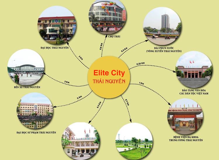 Elite City