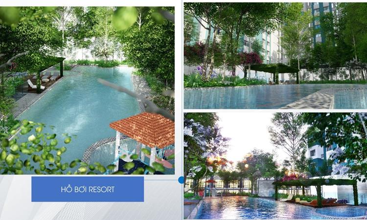 Hồ bơi Resort