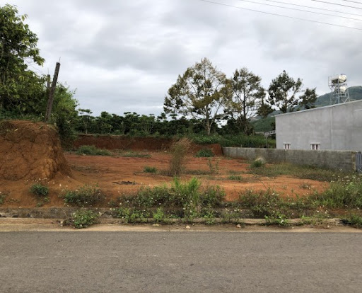 Cần bán lô đất ngay Đường Nguyễn An Ninh, TP Bảo Lộc 6x20
