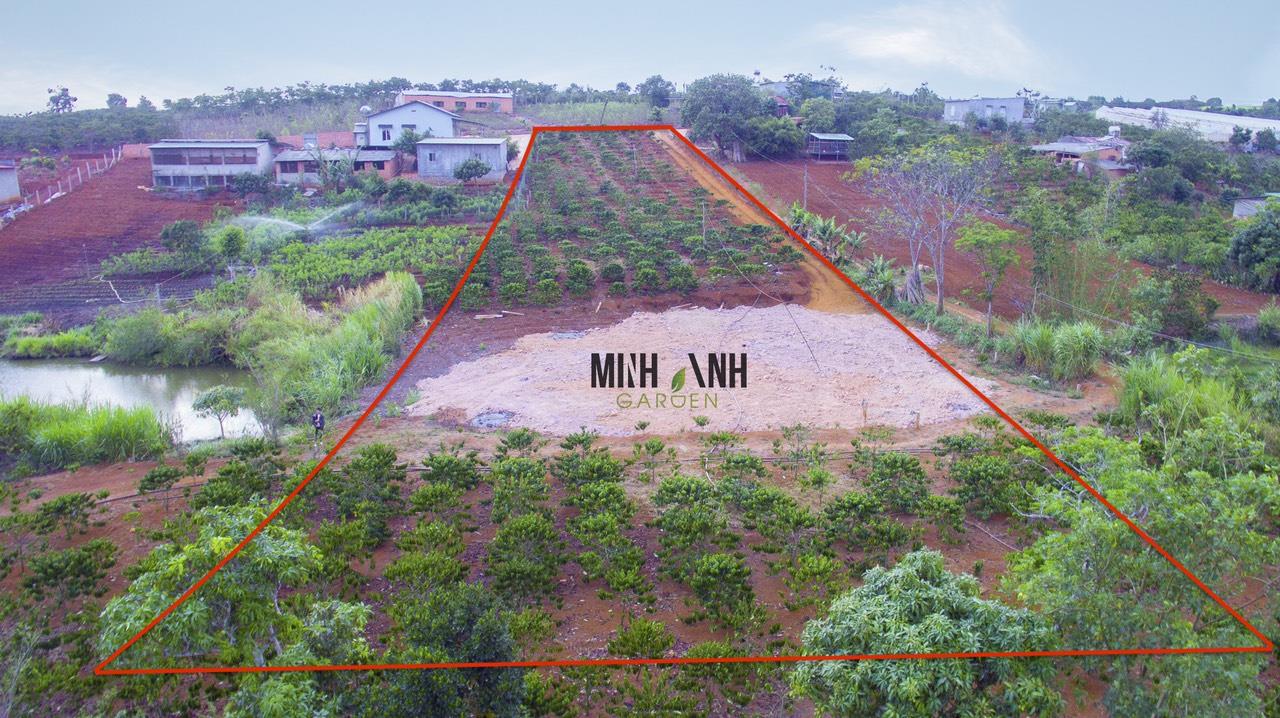 Bán đất vườn Đà Lạt - Minh Anh 6- Đông Thanh Lắm Hà 500m2 thổ cư 50m