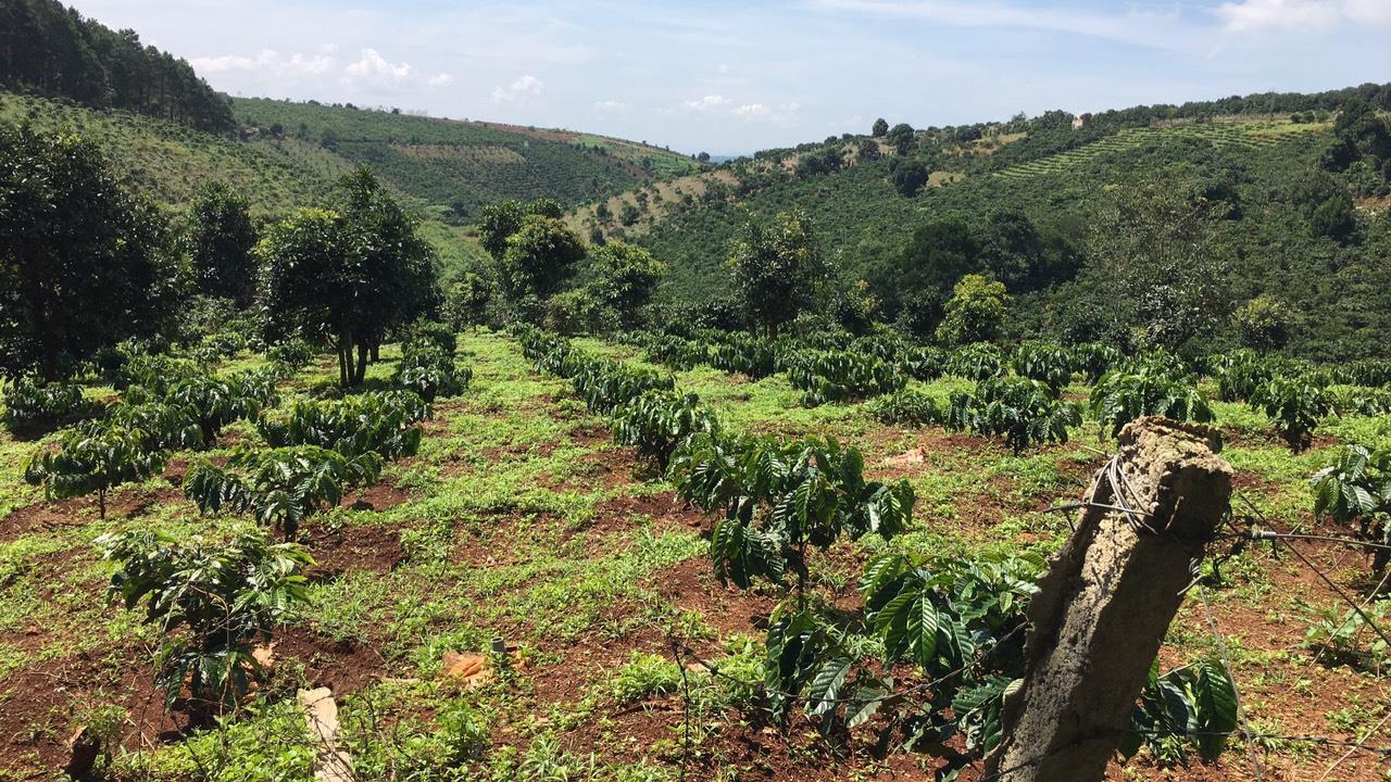 Bán đất lớn Mê Linh Lâm Đồng - 1,8ha view đồi thông, cây ăn trái ao hồ