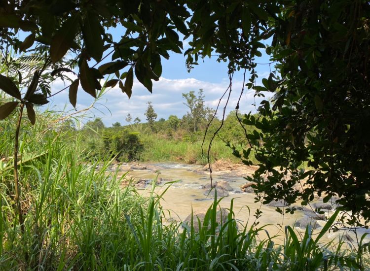Bán đất vườn Mê Linh – Minh Anh 4 Đà Lạt, giá 480 triệu/nền