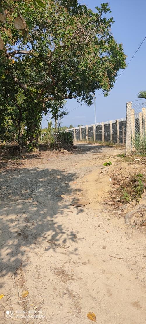 Bán 25000m2 đất xã xuân tâm huyện xuân lộc Đồng Nai, giá 3.75 tỷ Bán 25000m2 đất xã xuân tâm huyện xuân lộc Đồng Nai, giá 3.75 tỷ