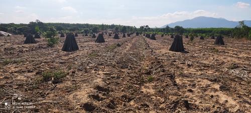 Bán 42000m2 đất xã xuân hòa, huyện xuân lộc, đồng nai mặt tiền dài 300m Bán 42000m2 đất xã xuân hòa, huyện xuân lộc, đồng nai mặt tiền dài 300m