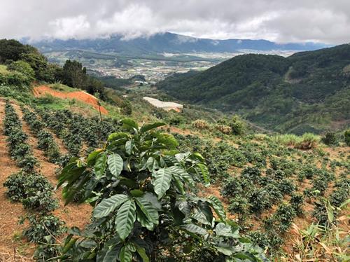 Cần bán 8 xào đất tại xã Trạm Hành, Đà Lạt view cực đẹp Cần bán 8 xào đất tại xã Trạm Hành, Đà Lạt view cực đẹp