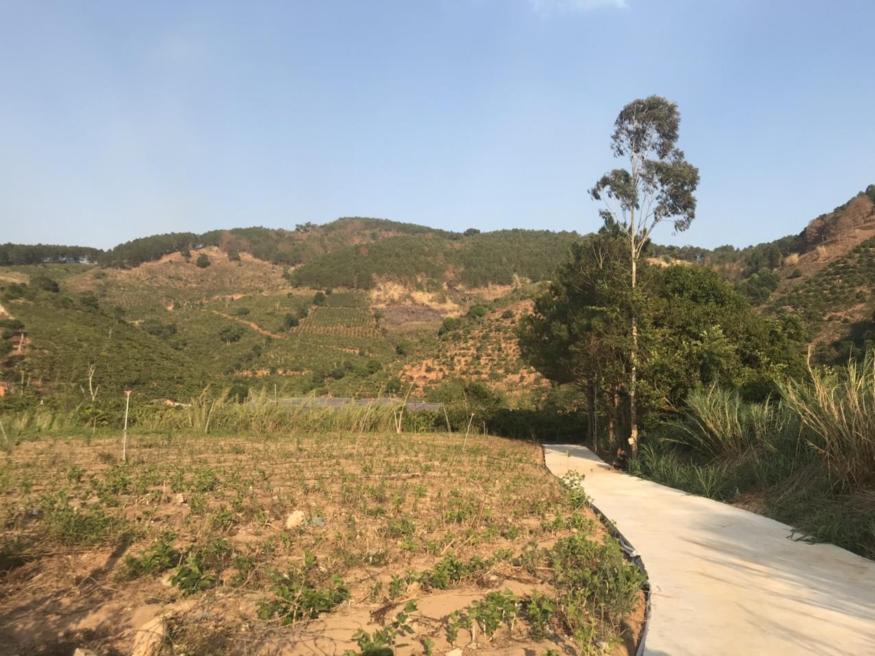 Dự án Đất vườn Mê Linh – Minh Anh 3 giá 369 triệu/500m2